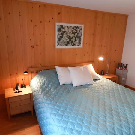 Huebeli - Chapman By Interhome Apartment *